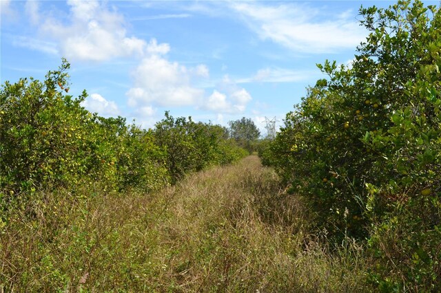 Masterpiece Rd, Lake Wales, FL 33898 - photo 3