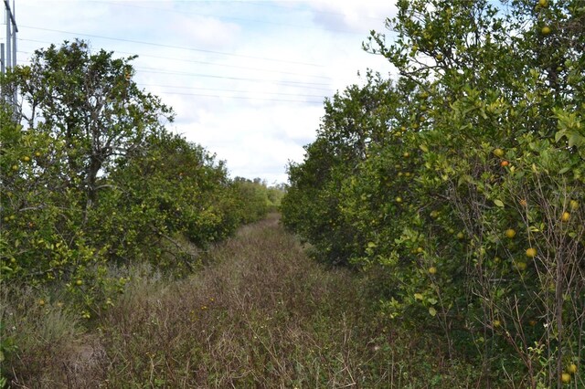 Masterpiece Rd, Lake Wales, FL 33898 - photo 4
