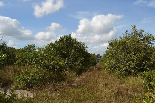 Masterpiece Rd, Lake Wales, FL 33898 - photo 6