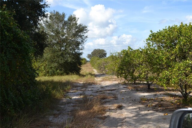 Masterpiece Rd, Lake Wales, FL 33898 - photo 7
