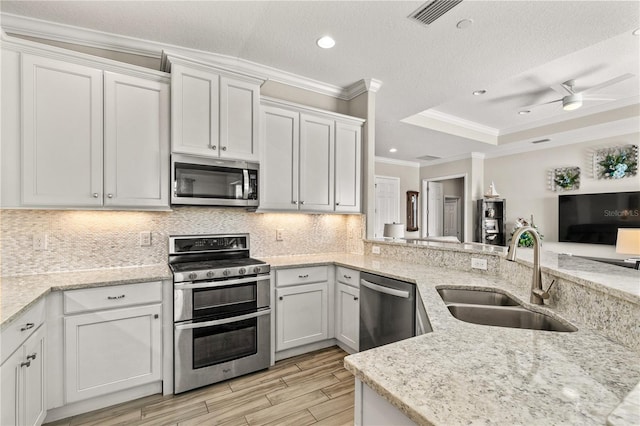 kitchen with a tray ceiling, ornamental molding, a sink, appliances with stainless steel finishes, and backsplash