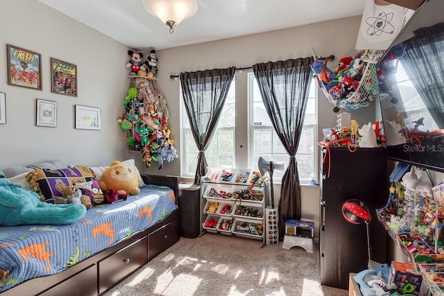 carpeted bedroom with multiple windows