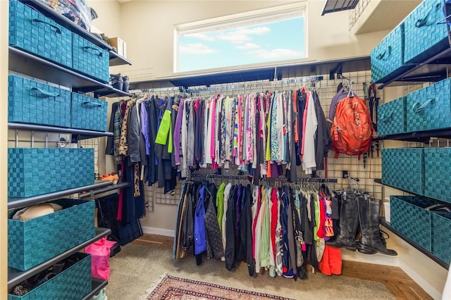 view of spacious closet