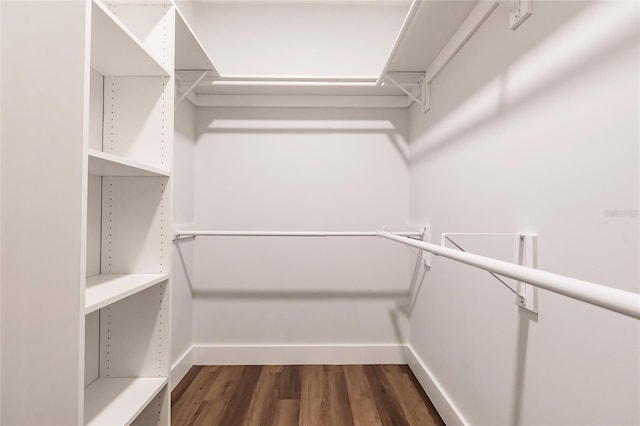 spacious closet featuring dark wood-style floors