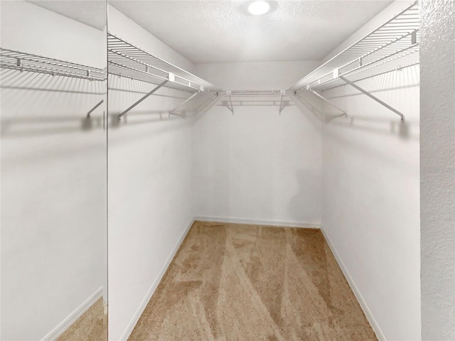 walk in closet featuring carpet flooring