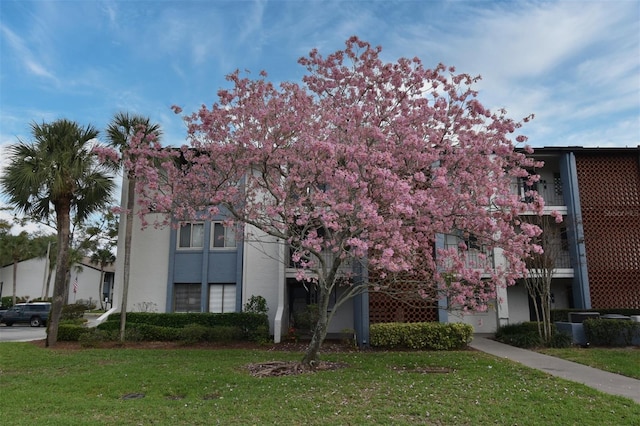 exterior space featuring stucco siding and a front yard