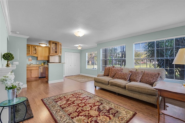 living room featuring crown molding, baseboards, light wood finished floors, and a textured ceiling