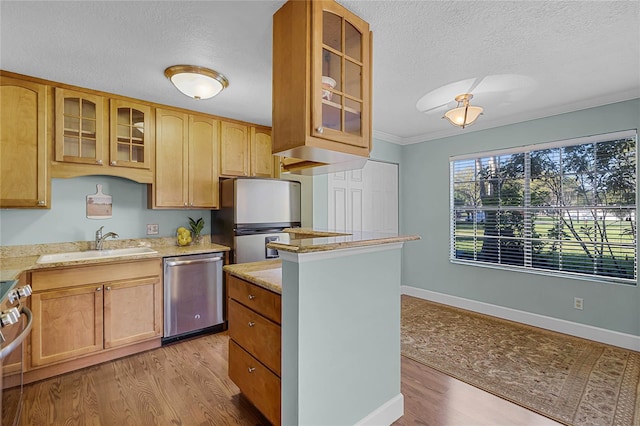 kitchen featuring light wood-type flooring, a sink, light stone counters, a textured ceiling, and stainless steel appliances