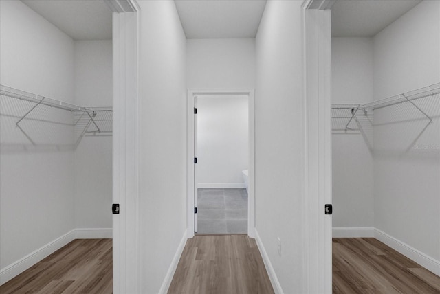 walk in closet featuring wood finished floors