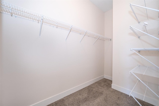 2400 Symphony Cir, Saint Cloud, FL 34771 - walk in closet featuring carpet floors