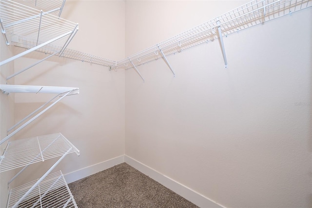 2400 Symphony Cir, Saint Cloud, FL 34771 - spacious closet featuring carpet