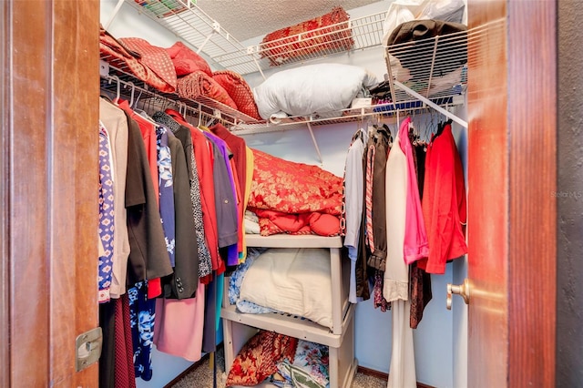 spacious closet featuring carpet