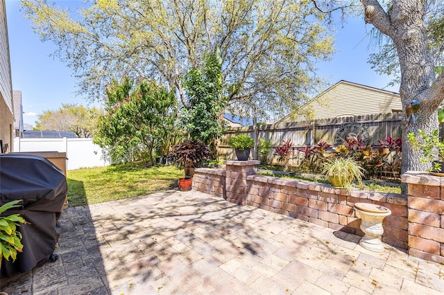 view of patio featuring a fenced backyard and grilling area