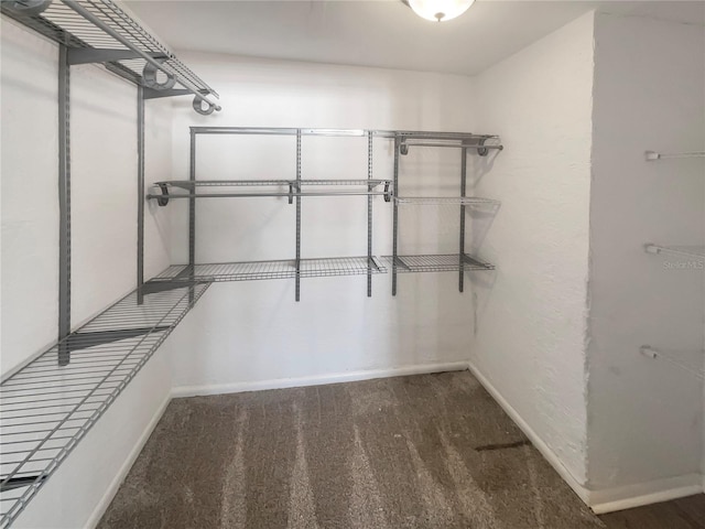 walk in closet with carpet floors