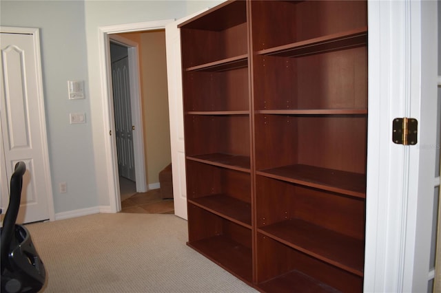 interior space with carpet floors