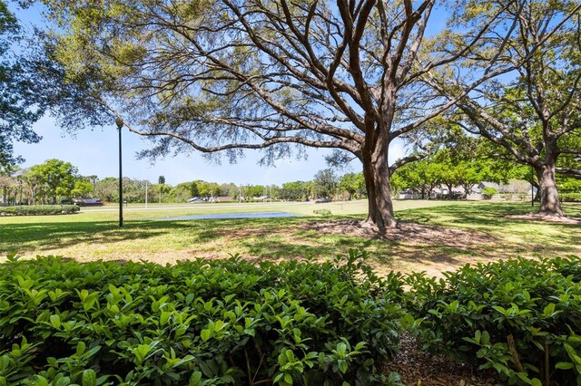 surrounding community featuring a yard