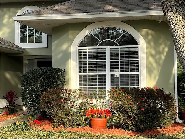 details featuring roof with shingles and stucco siding