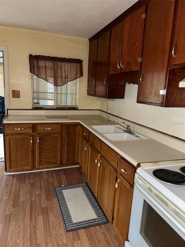 kitchen featuring white electric stove, a sink, dark wood-style flooring, and light countertops