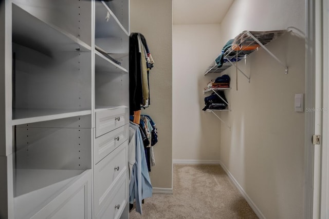 spacious closet with light carpet