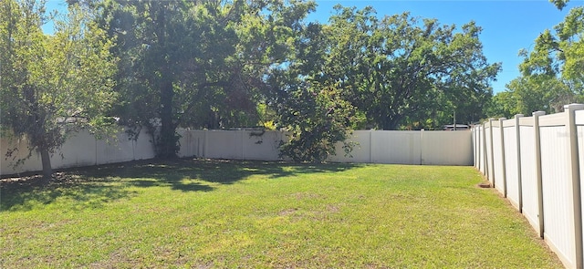 view of yard with a fenced backyard