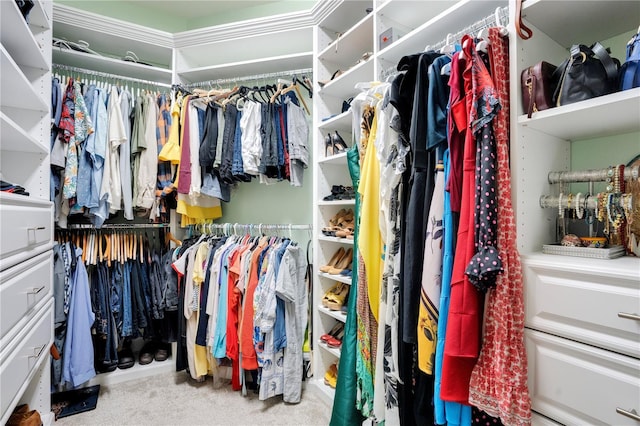 walk in closet featuring carpet flooring