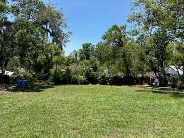 120 S Chandler Ave, Deland, FL 32724 - view of grassy yard