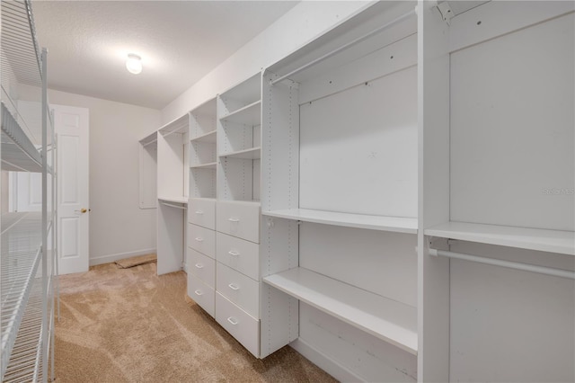 walk in closet featuring light carpet