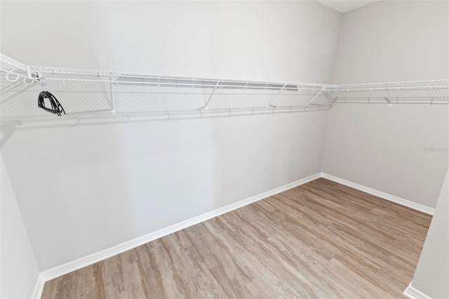 spacious closet featuring wood finished floors