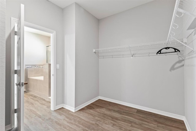 walk in closet featuring wood finished floors