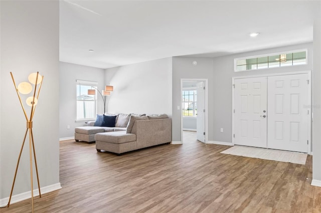 entrance foyer featuring plenty of natural light, wood finished floors, and baseboards