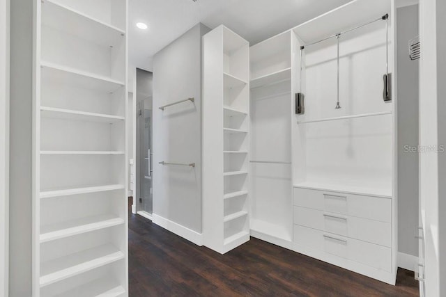 spacious closet with dark wood-style floors