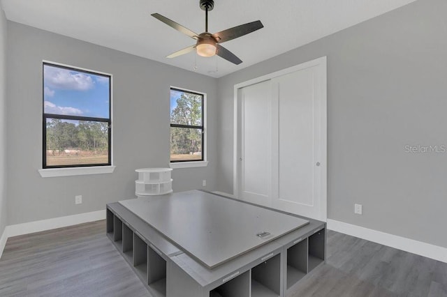 interior space with wood finished floors, baseboards, and ceiling fan