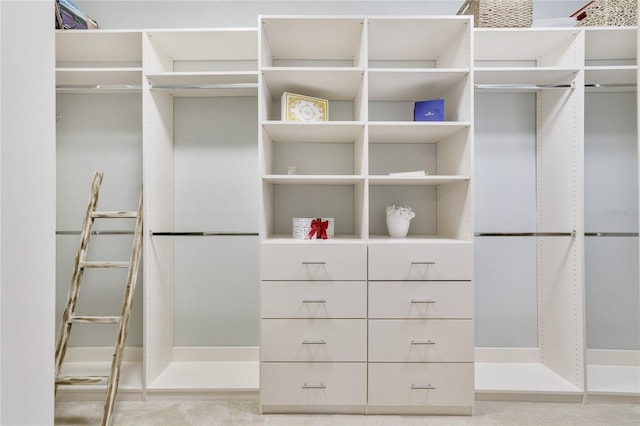 view of spacious closet