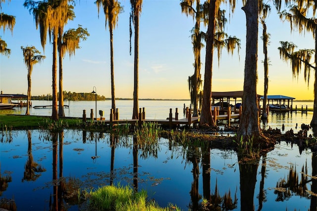 view of water feature featuring a boat dock