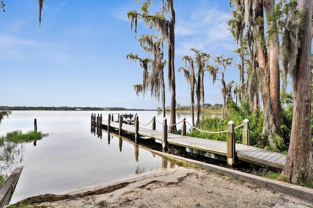 dock area with a water view