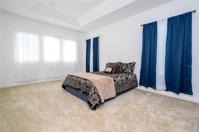 carpeted bedroom with a raised ceiling