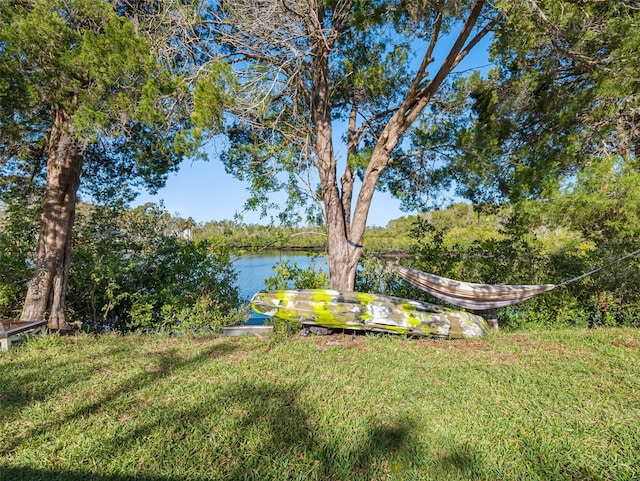 view of yard with a water view