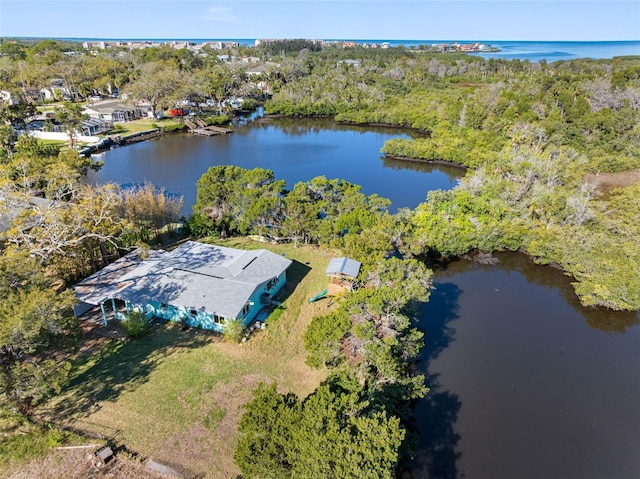 bird's eye view with a water view