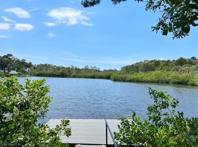 property view of water with a dock