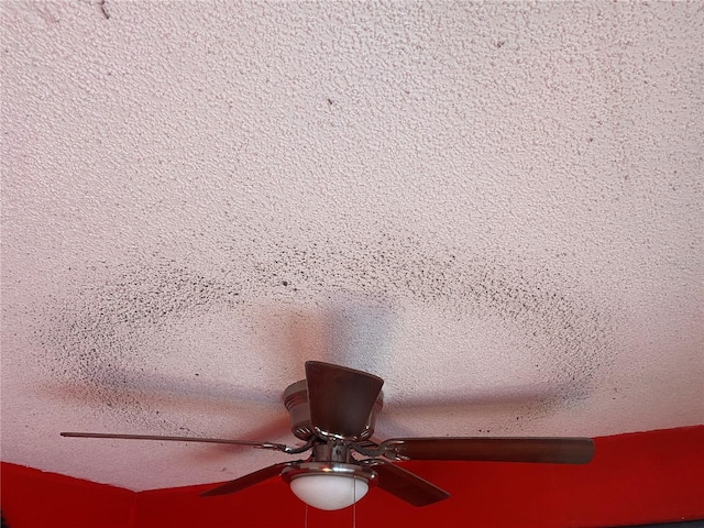 interior details with a textured ceiling and ceiling fan