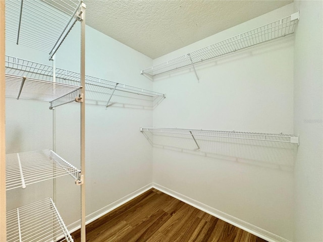 walk in closet featuring dark wood-style floors