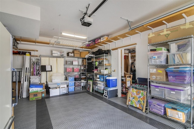 storage room with a garage