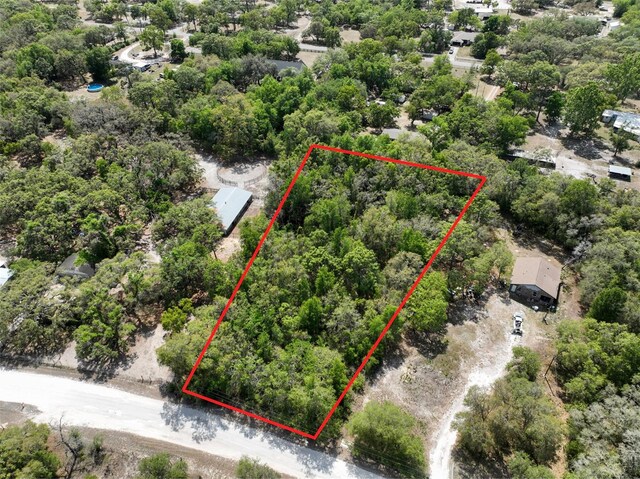 Evelyn Ct, Spring Hill, FL 34610