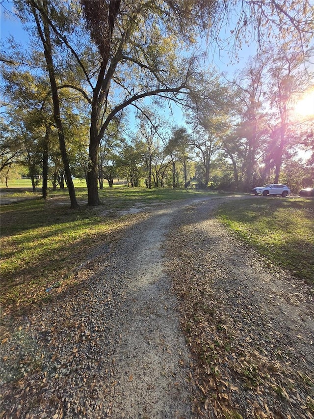 view of road