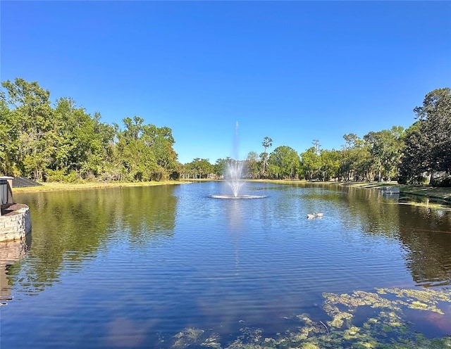 413 Summit Ridge Pl Unit 115, Longwood, FL 32779 - water view