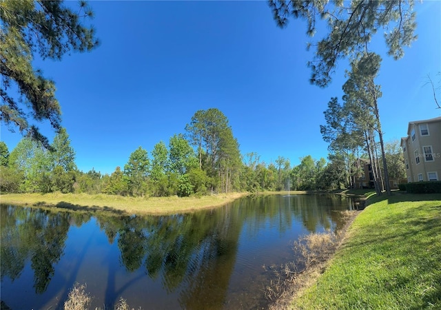 413 Summit Ridge Pl Unit 115, Longwood, FL 32779 - water view