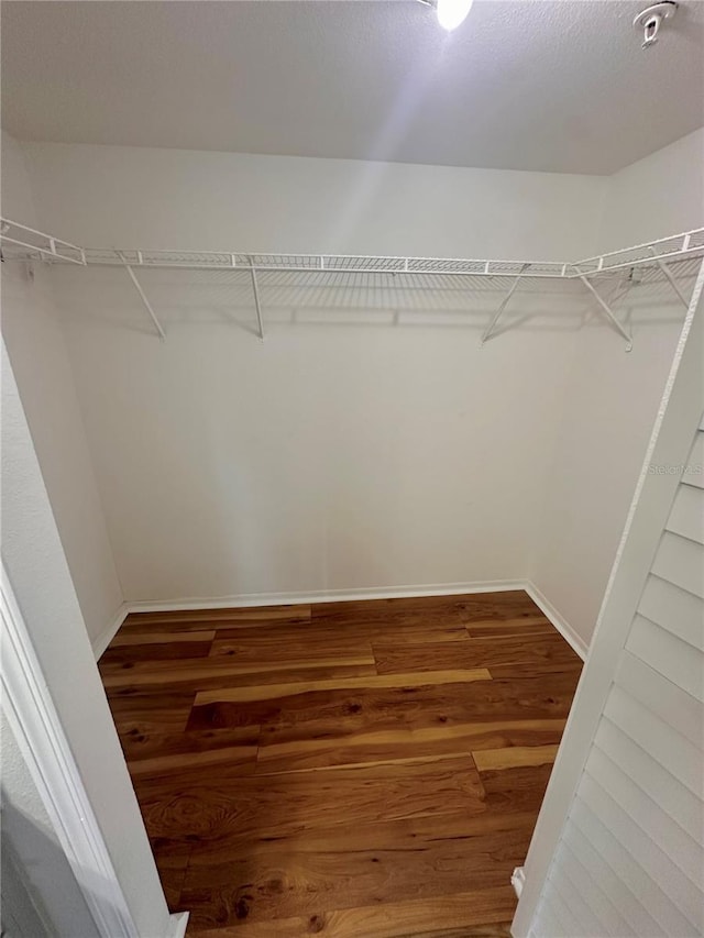 413 Summit Ridge Pl Unit 115, Longwood, FL 32779 - spacious closet with wood finished floors