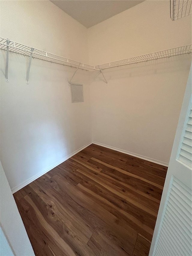 413 Summit Ridge Pl Unit 115, Longwood, FL 32779 - spacious closet featuring dark wood finished floors