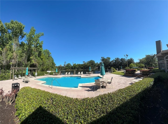 413 Summit Ridge Pl Unit 115, Longwood, FL 32779 - community pool featuring a patio area