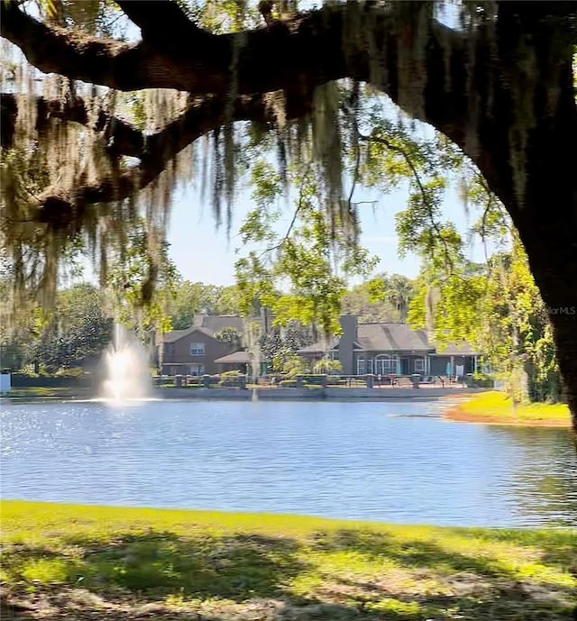 413 Summit Ridge Pl Unit 115, Longwood, FL 32779 - water view